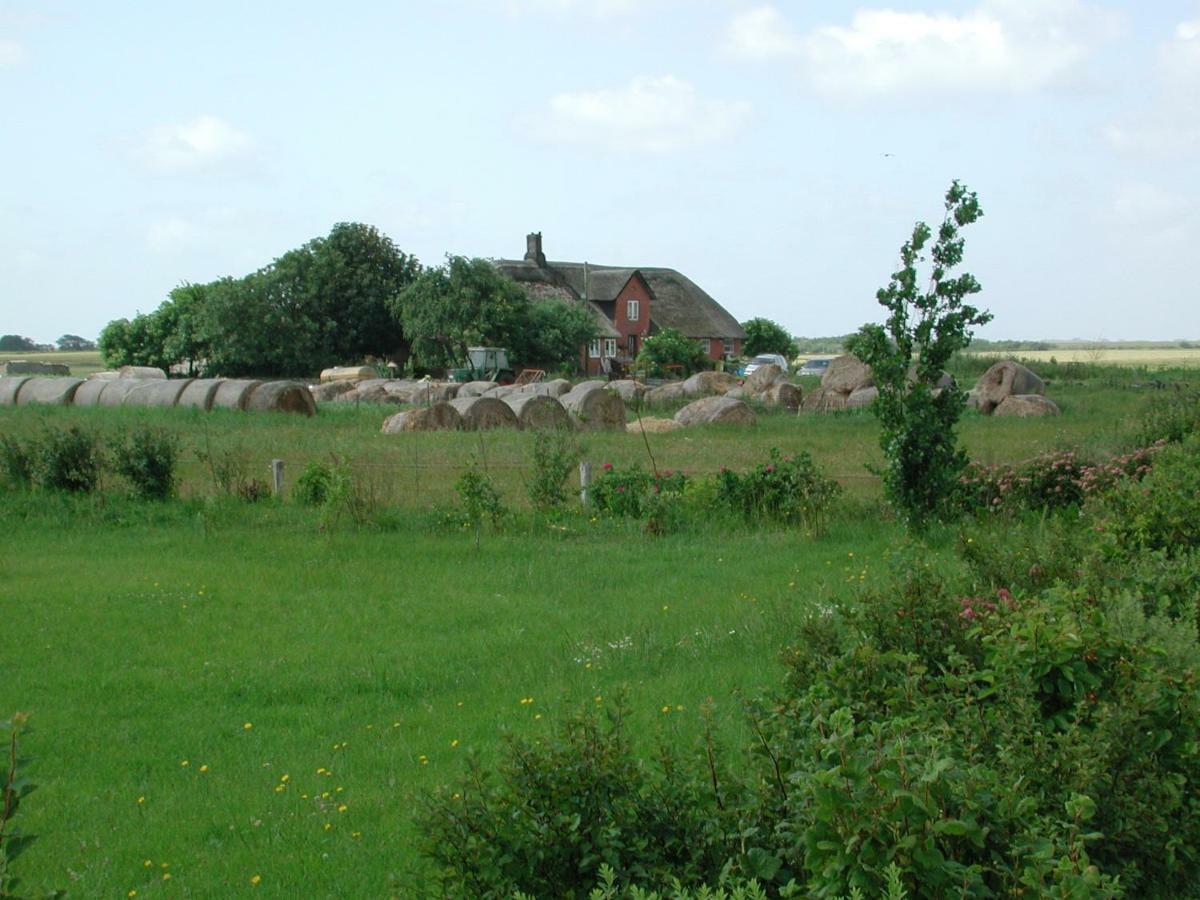 Appartement Kayser Sylt Morsum  Esterno foto